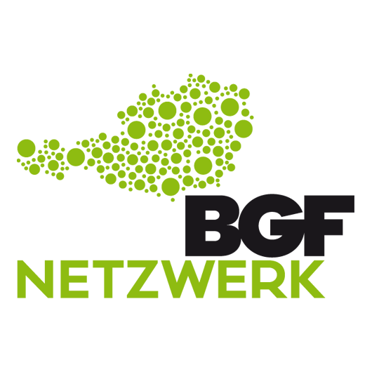 Netzwerkbgf Logo