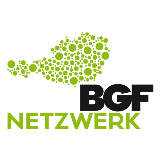 Netzwerkbgf Logo